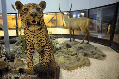 تور موزه های حیات وحش تهران