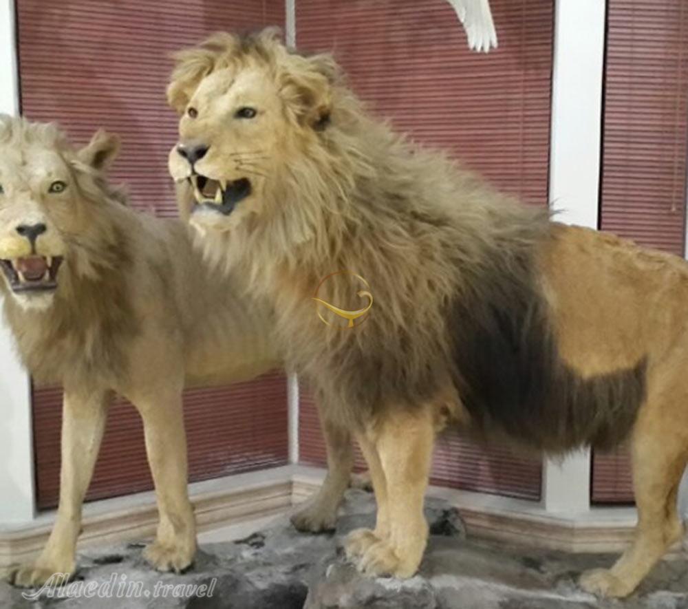 تور موزه های حیات وحش تهرانگردی | علاءالدین تراول