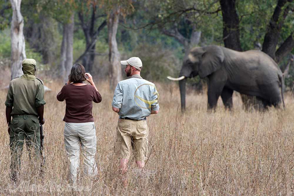 تور زامبیا | علاءالدین تراول