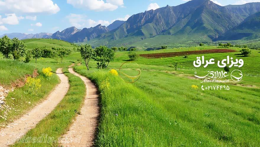 ویزای عراق | علاءالدین تراول