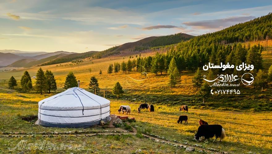 ویزای مغولستان | علاءالدین تراول