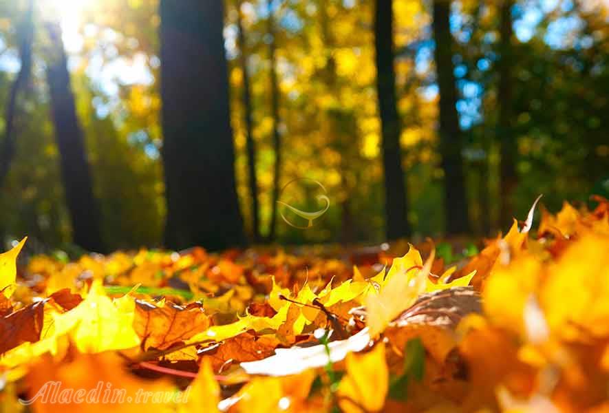 گاهنبار ایاثرم میانه پاییز