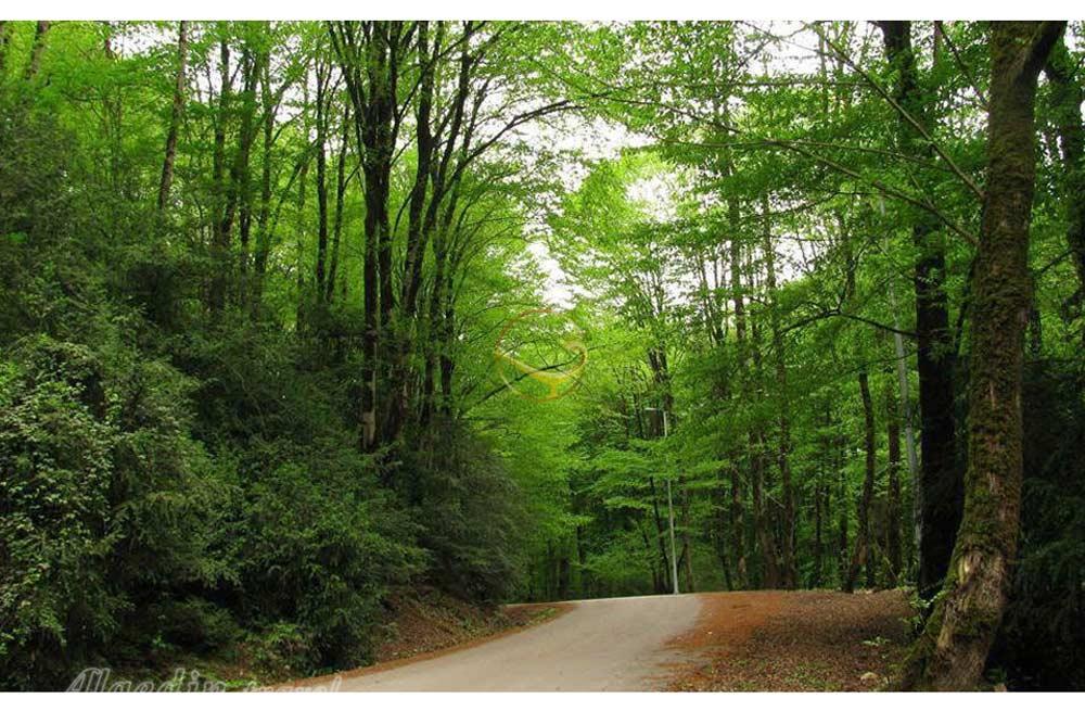 با منطقه پلنگ دره بیشتر آشنا شوید!