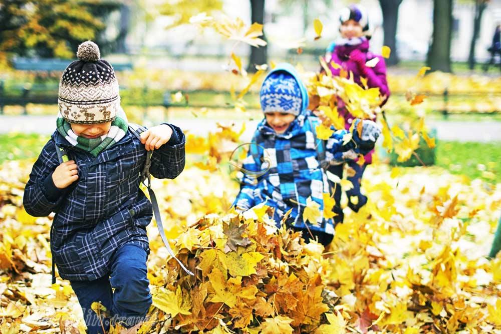 طبیعت رویایی پارک جنگلی النگدره در گرگان