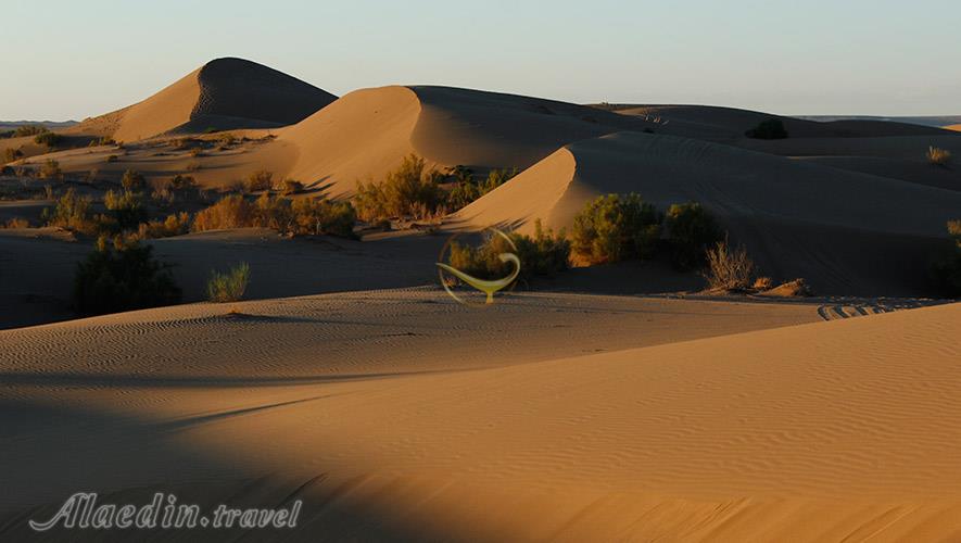 کویر مصر