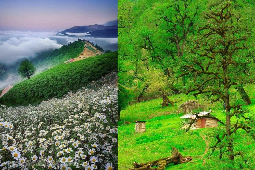 ایران را بهتر بشناسید | جنگل های ماسال، شهر ییلاقی در گیلان