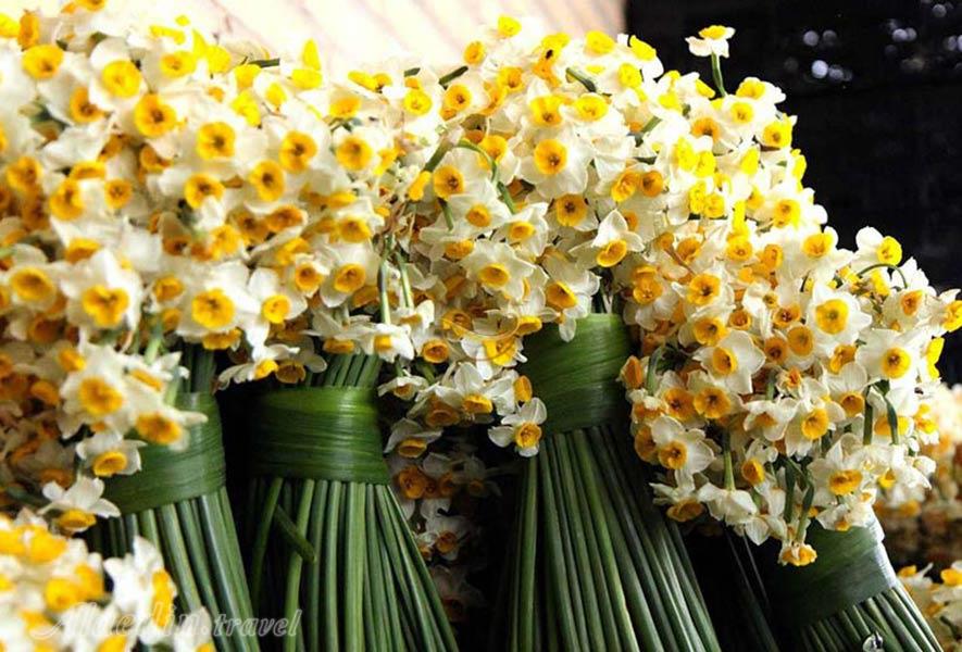 جشنواره گل نرگس در بهبهان