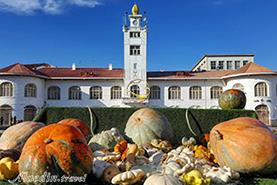 شهرهای خلاق ایران در یونسکو