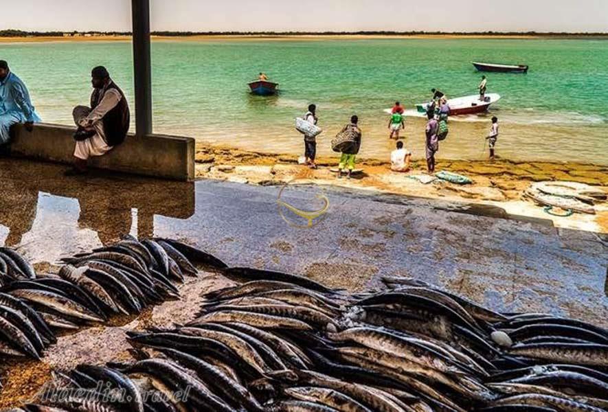 پیشنهاد ایجاد نخستین منطقه آزاد گردشگری کشور در سواحل مکران