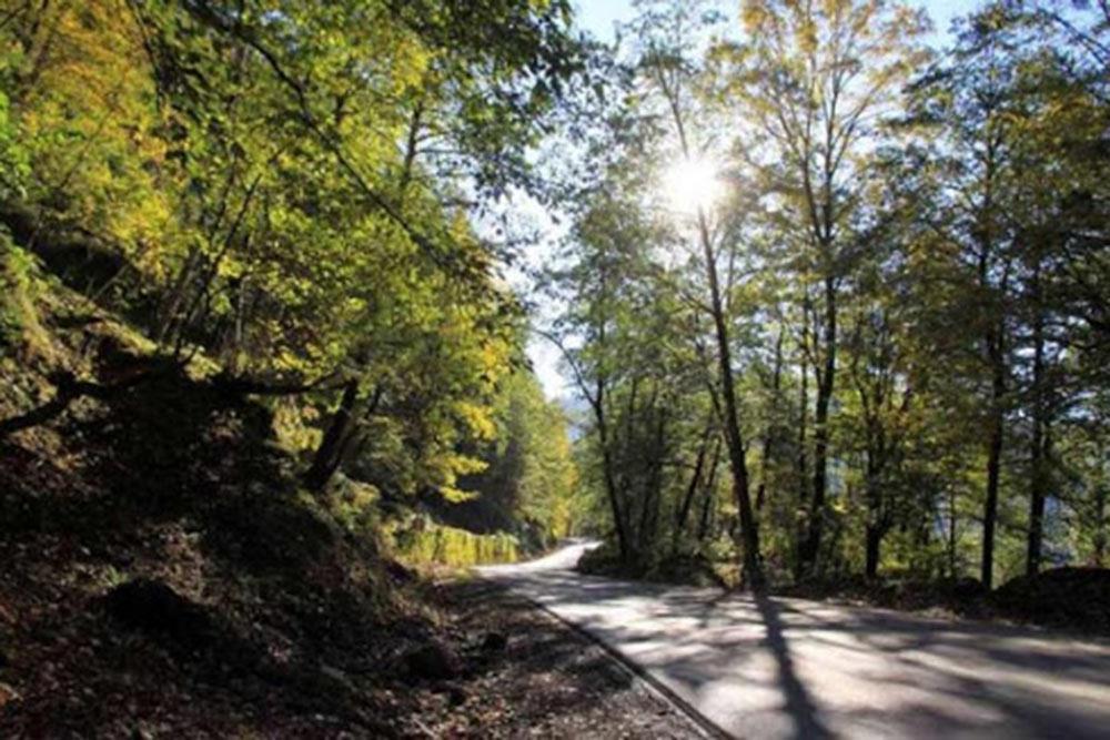 شهر عباس آباد