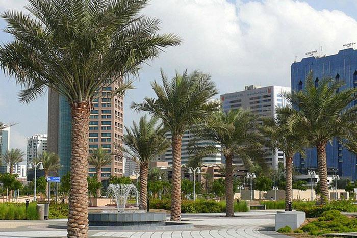 شهر  ابوظبی