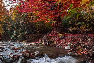 علی آباد کتول