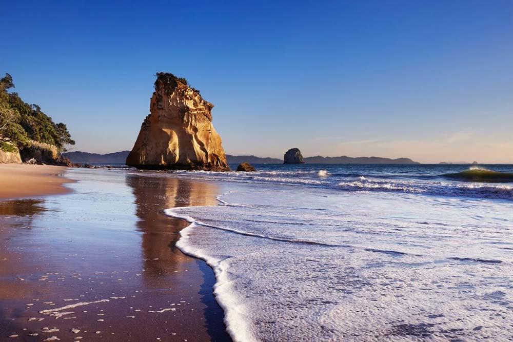 شهر اوکلند | علاءالدین تراول