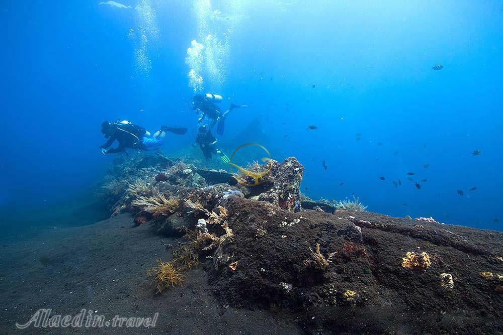 شهر  بالی | علاءالدین تراول