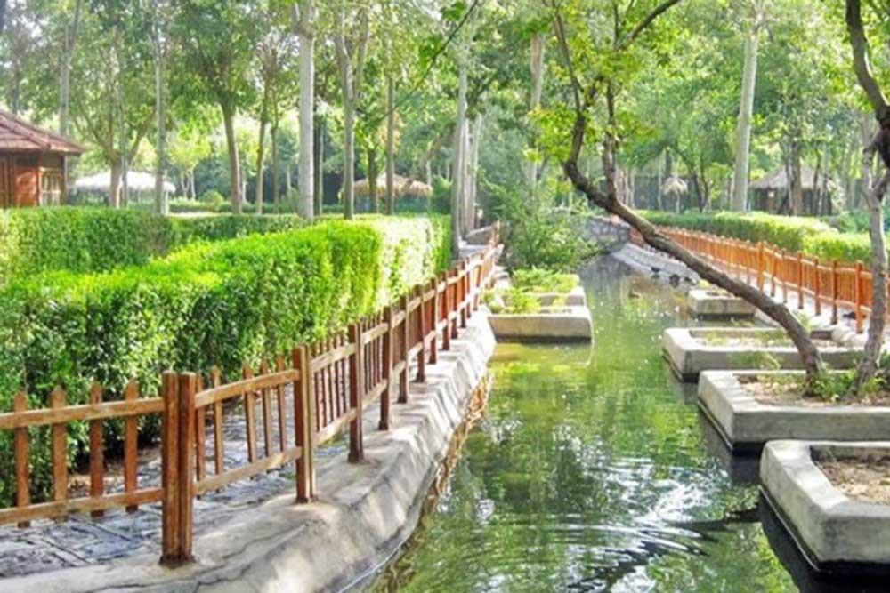 شهر  بینالود (طرقبه شاندیز) | علاءالدین تراول