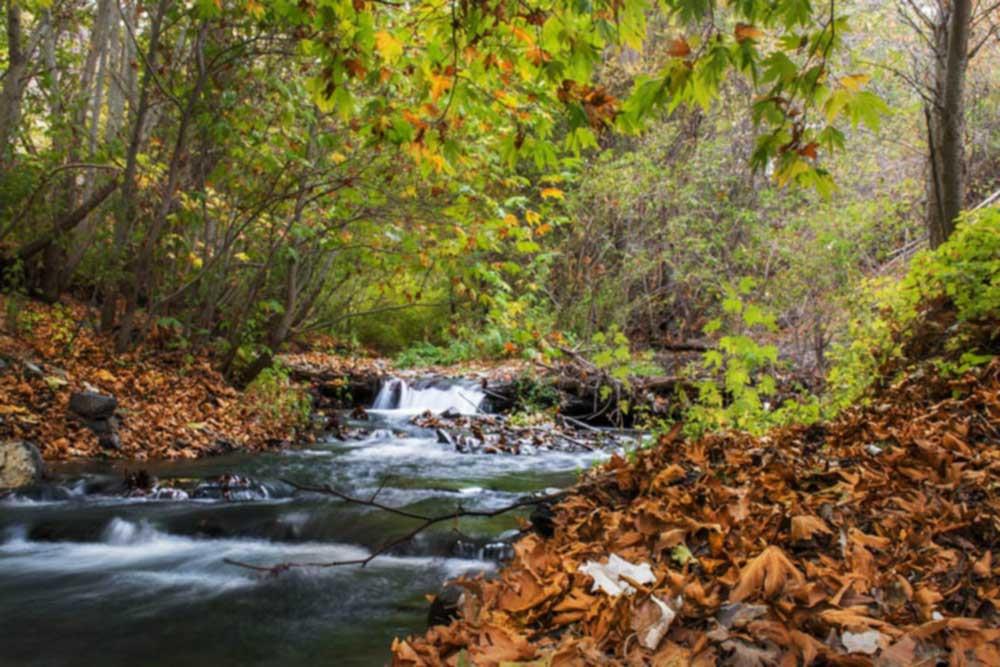 شهر  بینالود (طرقبه شاندیز) | علاءالدین تراول