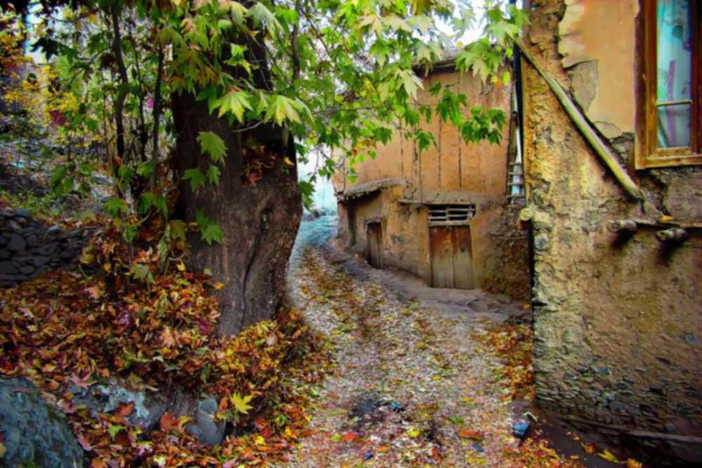 شهر  بینالود (طرقبه شاندیز) | علاءالدین تراول