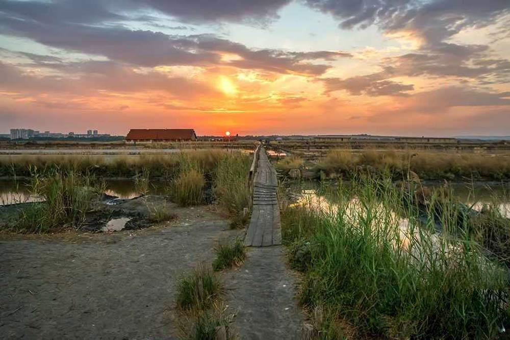 شهر بورگاس | علاءالدین تراول