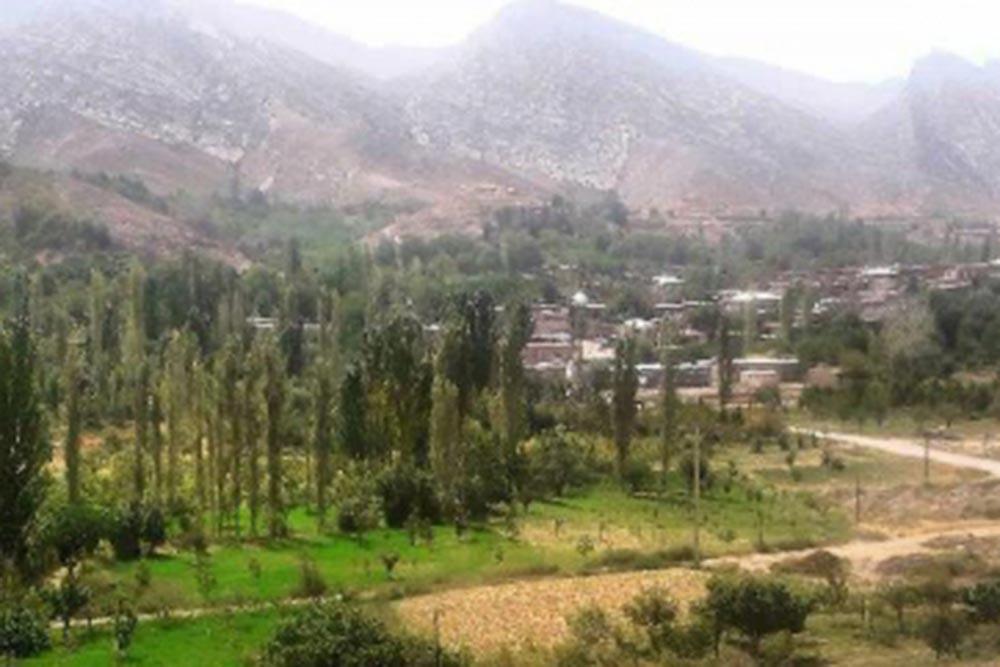 شهر  چناران | علاءالدین تراول