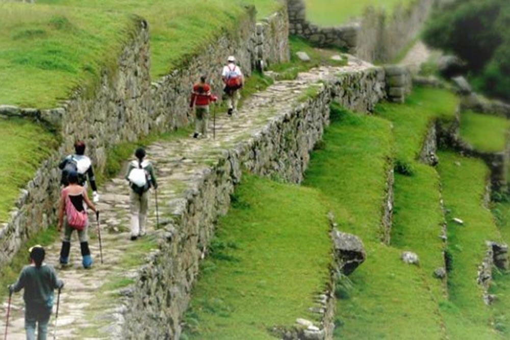 شهر کوزکو | علاءالدین تراول