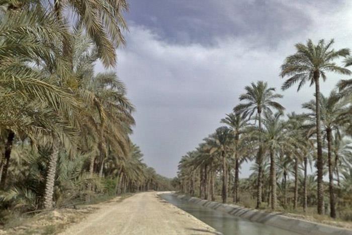 شهر  دشتستان | علاءالدین تراول