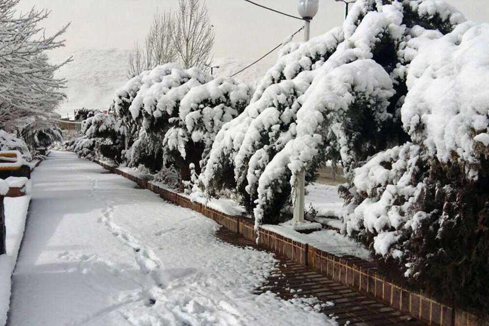 شهر  دلفان | علاءالدین تراول