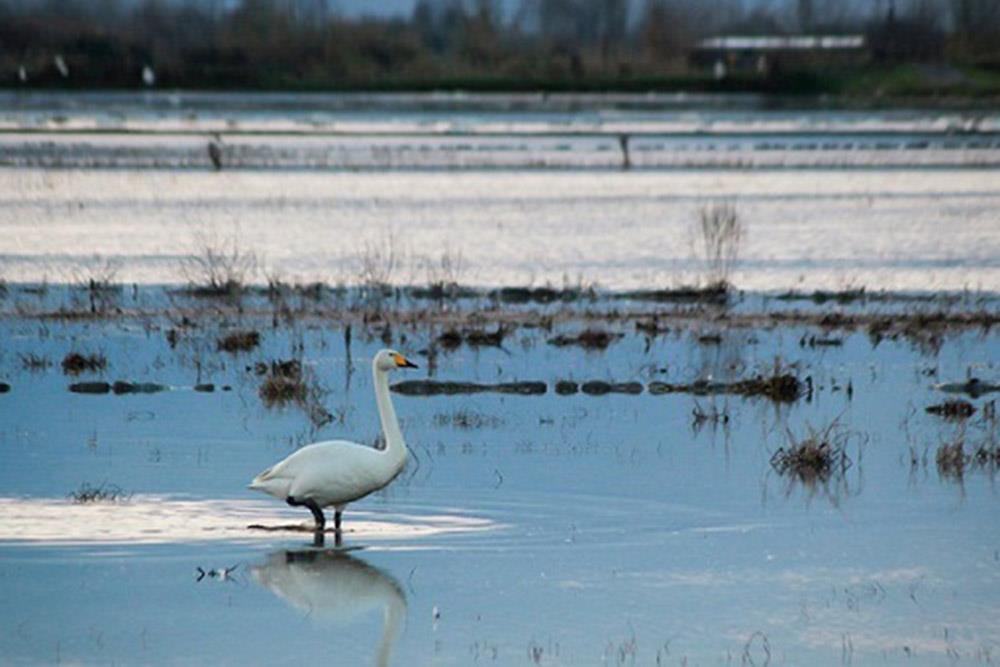 شهر فریدن کنار