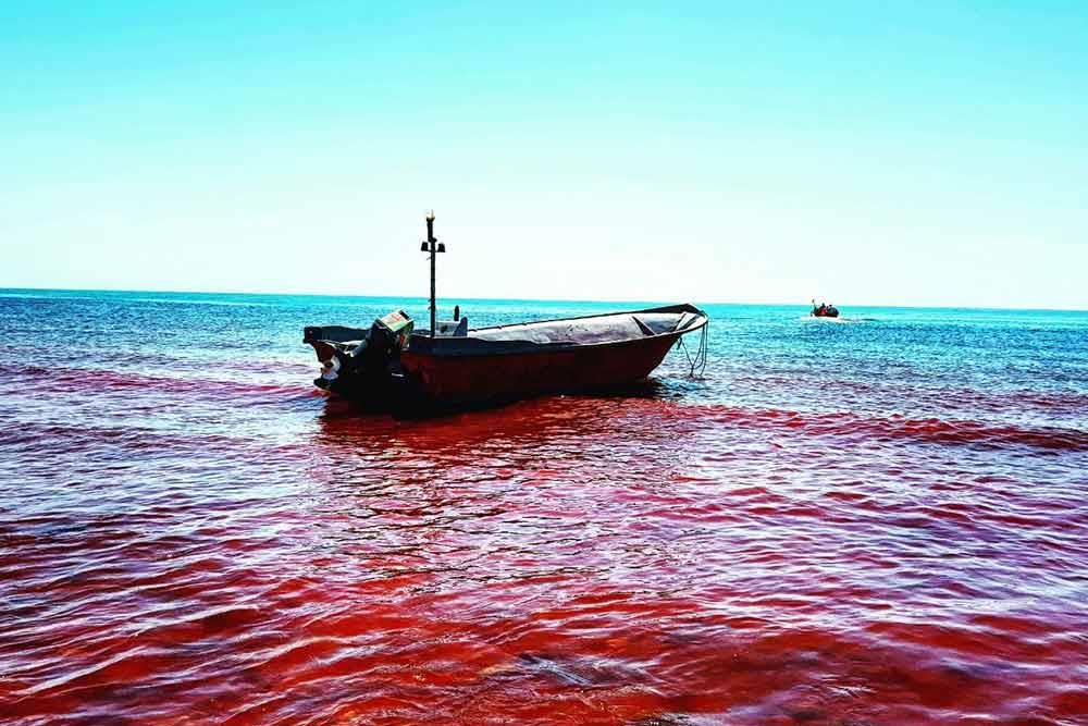 شهر هرمز | علاءالدین تراول