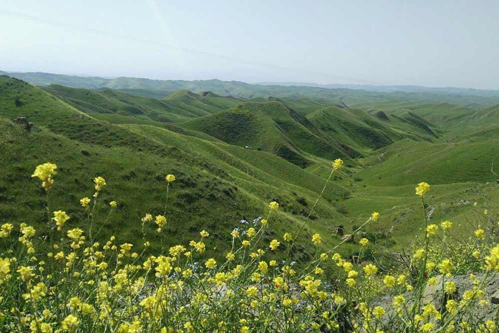 شهر  کلاله | علاءالدین تراول