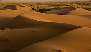 خور و بیابانک