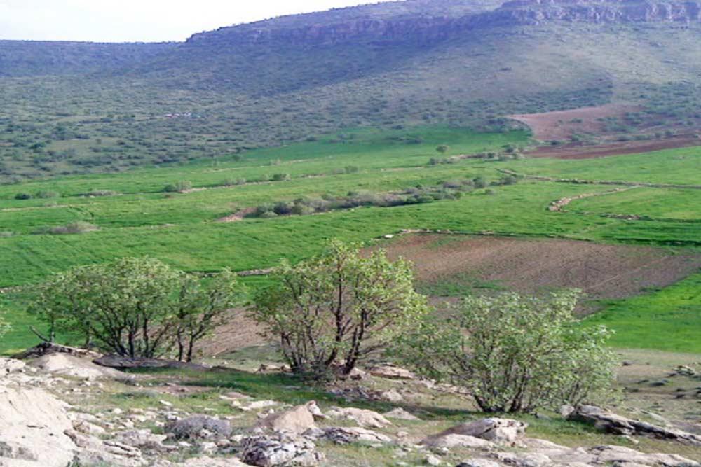 شهر کوهدشت | علاءالدین تراول