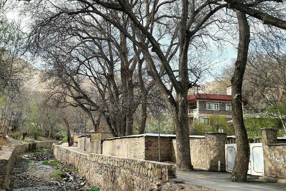 شهر مهدیشهر