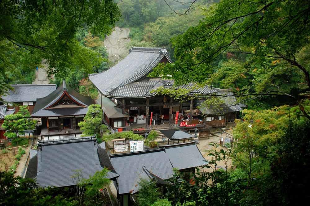 شهر  نارا | علاءالدین تراول