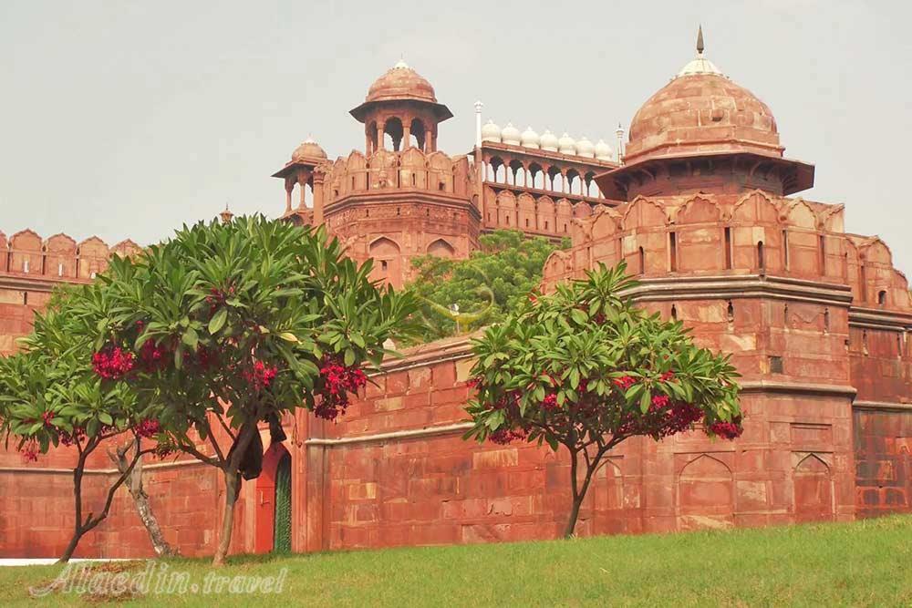 شهر دهلی نو | علاءالدین تراول