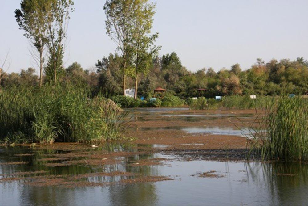 شهر  پارس آباد | علاءالدین تراول