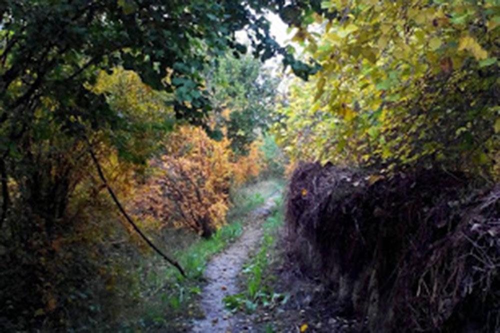 شهر رامهرمز