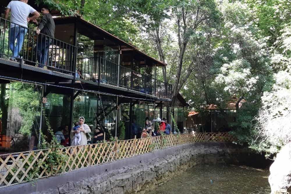 رستوران مینوسا شاندیز مشهد | علاءالدین تراول