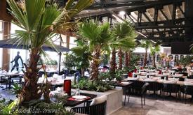 رستوران مرسی پدیده تهران