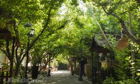 رستوران ارکیده شعبه شهریار