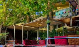 رستوران شایلو چالوس