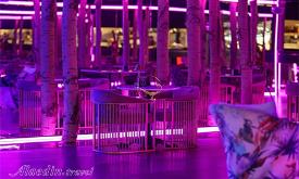 کافه رستوران ترکایش لانژ تهران