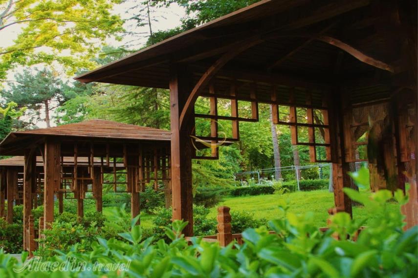 رستوران دایه کرمانشاه