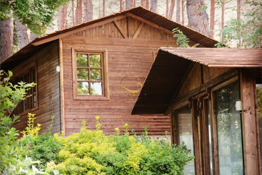 رستوران دایه کرمانشاه