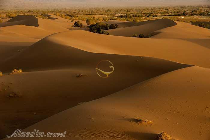 تور کویر مصر